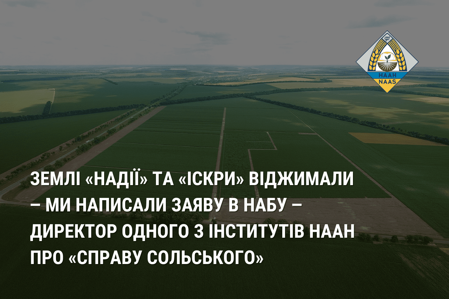 Землі «Надії» та «Іскри» віджимали ‒ ми написали заяву в НАБУ ‒ директор одного з інститутів НААН про «справу Сольського»